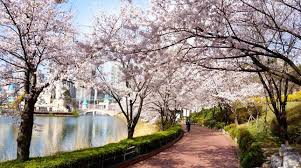 Taman berbentuk oval dengan luas 16,322 m2 ini, dikelilingi oleh beberapa bangunan belanda kuno. Pin On Bosques Y Diferentes Paisajes