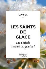Les saints de glace sont une période climatologique située, selon des croyances populaires européennes du haut moyen âge, autour de saint mamert les trois saints de glace, comme les mousquetaires, étaient quatre ! Les Saints De Glace Date Origine Et Conseils Saints De Glace Jardinage Jardins