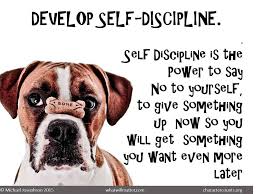 Image result for self discipline