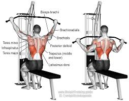 Wide Grip Lat Pulldown A Compound Exercise Target Muscle Latissimus Dorsi Synergists B Exercicios De Treino Estacao De Musculacao Exercicios De Musculacao