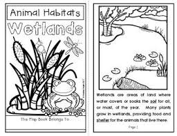 Animal Habitats Wetlands A Flap Book Project For Grades 1 3 In 2020 Animal Habitats Flap Book Wetland