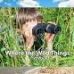 Where the Wild Things Camp