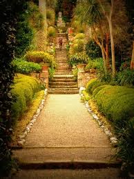 Pin By Jenn Simmons On Isles Of Scilly Scilly Island Tresco Abbey Gardens Isles Of Scilly