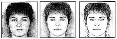 Theory of glial cells & neurons emulating biological neural networks (BNN)  for natural intelligence (NI) operated effortlessly at a minimum free  energy (MFE)