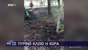 Ειδήσεις, νέα και όλη η έκτακτη επικαιρότητα από το news 24/7. Mldnpmudpggldm