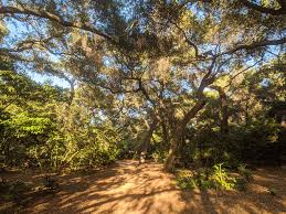 This time of year is an especially gorgeous chance to catch a glimpse of a new part of the country. What S Open On Thanksgiving Day In Los Angeles This Year