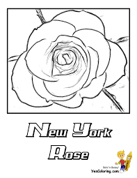 Just click, print and color. Rose Flowers Coloring Pages Free Yescoloring Rose Coloring