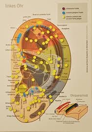 Besides the traditional means of akupunktur abnehmen understanding of enduring courses, participants additionally secure useful chance of practicing in a community facility for a group of 4 or 5 learners. Akupunktur Bei Heilpraktiker Markus Stegh Kempten
