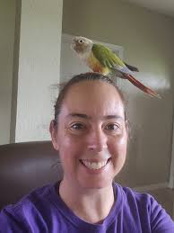 Lost pet in St Lucie County, Fort Pierce area