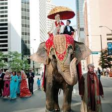 Traditional Hindu Baraat Procession Interfaith Wedding Baraat Procession India Wedding