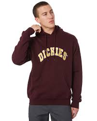 princeton mens hoodie