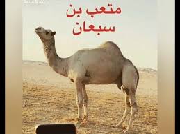 أشترى عبدالله بن محمد بن قهيبان البدراني البعير ( عز المغاتير ) من بندر مزن الجابري الحربي بـ 1300000 مليون وثلاث مئة الف. Ù…ØªØ¹Ø¨ ÙˆÙ„Ø¯ Ø§Ù„Ù…Ø¯ÙŠØ­ÙŠ Ø§Ù„Ø´ÙŠØ¨Ø© Ø¨Ø¹ÙŠØ± Ø¨Ù† Ø³Ø¨Ø¹Ø§Ù† Ø³ÙˆØ¯Ø§Ù†ÙŠ Youtube