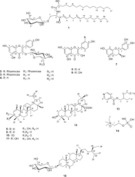 Image result for Strombosiopsis tetrandra