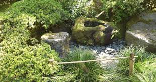 Japanese Garden The World S Best Gardening Blog Amy Campion Japanese Garden Gardening Blog Garden Japanese