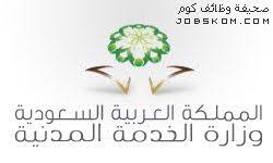 نموذج سيرة ذاتية وورد مختصرة Doc عربي وانجليزي Crown Pattern Cartoon Songs Pattern