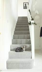 Light Grey Carpet Lounge Stairs Scale Interne Corridoio Grigio Tappeto Grigio