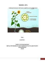 Biasanya, dikotil dan monokotil berbeda dalam empat aspek yang meliputi batang, bunga, daun, dan akar. Modul Struktu Dan Fungsi Jar Tumbuhan Flip Ebook Pages 1 49 Anyflip Anyflip