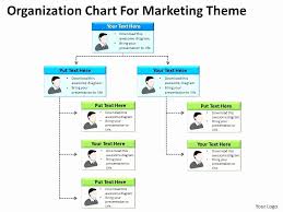 Lovely 33 Examples Organizational Chart Template Google