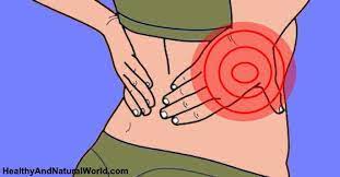 From the back, the ribs angle down slightly. Pin On Health