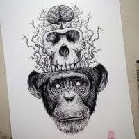 Monkey drawing monkey art cute monkey tattoo ninja baby animals cute animals monkey tattoos cartoon monkey year. Black And White Monkey Devided Into Skull And Brain Tattoo Design Tattooimages Biz