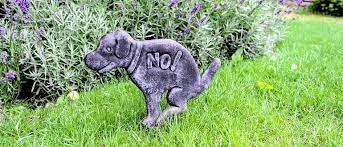 Foxes now trapped in garden. How To Actually Stop Cats From Fouling In Your Garden For Good