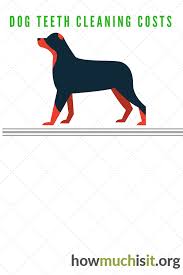 The dog teeth cleaning cost depends of several factors. How Much Does It Cost To Have Your Dog S Teeth Cleaned Let S Find Out The Costs Of Dog Teeth Cleaning Dog Teeth Cleaning Dog Teeth Teeth Cleaning