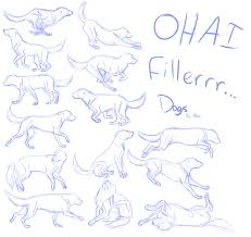 Dog Anatomy Study Thing By Divinenymph Art References Dog Drawing Dog Anatomy Animal Sketches