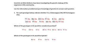 Spongebob genetics packet answers punnett square worksheet answer key. Punnett Squares With Sponge Bob Ppt Download