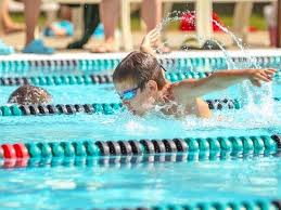 The current project is 'the last. Pools Around New Hope Where To Swim This Summer New Hope Pa Patch