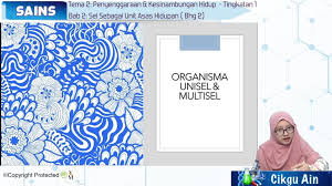 Setiap jenis sel manjalankan fungsi yang khusus. F1 Sains 02 02 Penyenggaraan Kesinambungan Hidup Sel Sebagai Unit Asas Hidupan Bhg 2 My E Tuition