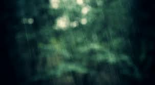 A collection of the top 67 4k nature wallpapers and backgrounds available for download for free. 33 Amazing Rain Animated Gif