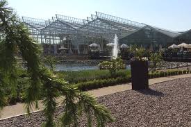 Explore the data on coronavirus in the uk and find out how many cases there are in your area. Best Garden Centres In Greater Manchester Manchester Evening News
