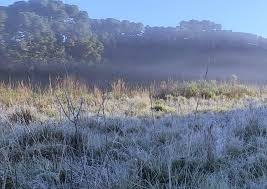 Boletim de previsão do tempo contendo informações sobre previsão, temperatura mínima e máxima prevista. Frio E Mar Agitado No Sul Do Brasil Climatempo
