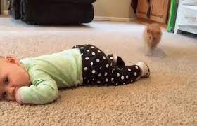 Acegif is an internet portal with the best gifs on any topic. Lustige Kinder Auf Gif Bildern 108 Animierte Bilder Kostenlos