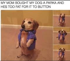 House Of The Long Dogs Mini Dachshund Ranch Fat Guy In A Little Coat Facebook