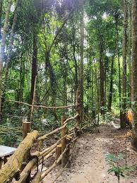 Bahagian ladang hutan & perlindungan hutan. Best Cities In Perak Malaysia Alltrails