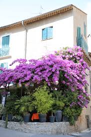 Good availability and great rates. Cagnes Sur Mer And Its Attractions All Pyrenees France Spain Andorra