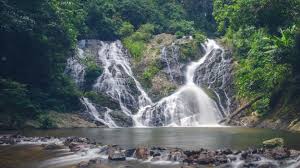 The train goes to jerantut depart 0700pm and arrival 3am. Visit Malaysia Travel And Tour
