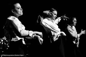 Trwa jakiś obrzydliwy festiwal fatfobii. Pin On 39 Ppa