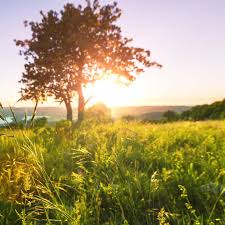 Лето ◆ das baden ist die schönste beschäftigung im sommer. Geniessen Endlich Sommer Darauf Freuen Wir Uns Brigitte De