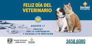 Maybe you would like to learn more about one of these? Banfield Mexico Ar Twitter Hoy Queremos Felicitar A Todos Los Medicos Veterinarios En Su Dia En Especial A Los Que Forman Nuestro Gran Equipo En El Hospital Veterinario Unam Banfield Medicoveterinario Felicidades Mexico