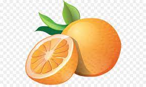 We did not find results for: Orange Fruit Clipart Orange Png Herunterladen 600 529 Kostenlos Transparent Obst Png Herunterladen