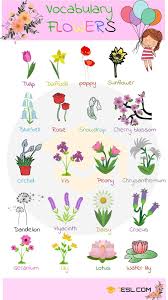 Creating an the name holly is often given to girls born in winter. Flower Names Great List Of Flowers And Types Of Flowers With Images 7esl English Vocabulary English Language Learning Flowers Name In English