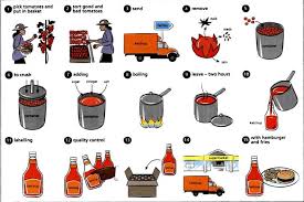 The Pictures Below Show How Tomato Ketchup Is Made Summarize