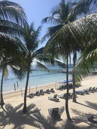 The san pedro elks lodge brings so much more to our community than just a building, tennis courts, pool, gym, and festivities. Guide To Travel San Pedro Exploratory Glory Travel Blog Tinyhouse Living Travel Deals