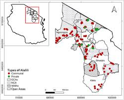 Image result for Leptocarydion vulpiastrum