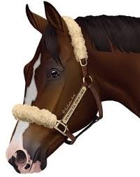 Pin By Morgan Tolliver On Horse Art Horse Drawings Horse Animation Horse Artwork