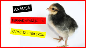 Sahabat kali ini kita akan bertemu dengan relasi dan fungsi pasti masih banyak anak smp yang bingung mana yang relasi dan mana yang fungsi, nah maka dari itu kita perlu membahas beberapa soal yang berkaitan. Soal Uts Managemen Ternak Unggas