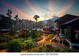 503 likes · 18 talking about this. Shutterstock Puzzlepix