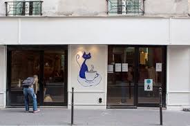 Hip Paris Blog Le Cafe Des Chats Cat Cafe Arrives In Paris Cat Cafe Paris Cafe Paris
